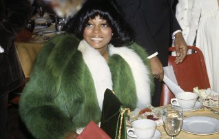 Фото - Дайана Росс: 318x202 / 17 Кб