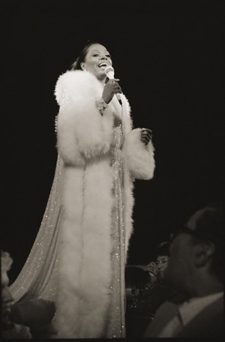 Фото - Дайана Росс: 329x500 / 17 Кб