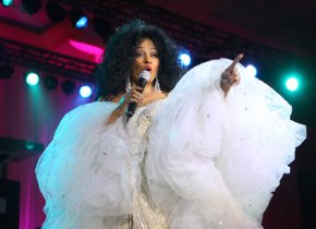 Фото - Дайана Росс: 290x210 / 13 Кб
