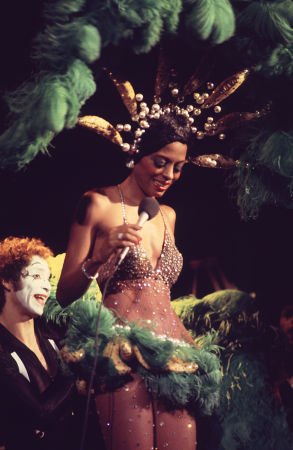 Фото - Дайана Росс: 293x450 / 28 Кб