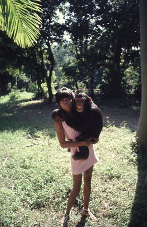 Фото - Дайана Росс: 292x450 / 48 Кб