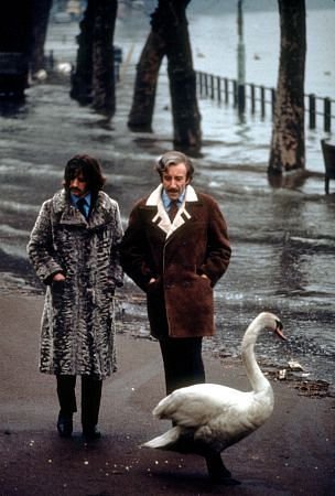 Фото - Ринго Старр: 304x450 / 34 Кб