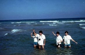 Фото - Джордж Харрисон: 292x189 / 13 Кб