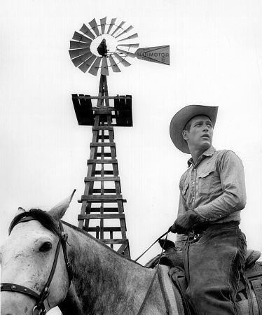 Фото - Пол Ньюман: 374x450 / 33 Кб