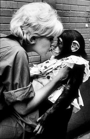 Фото - Ким Новак: 292x450 / 35 Кб