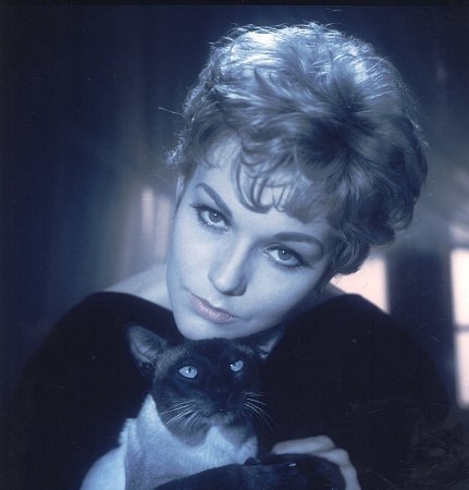 Фото - Ким Новак: 431x450 / 29 Кб