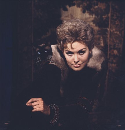 Фото - Ким Новак: 432x450 / 23 Кб