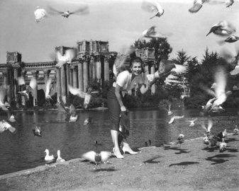 Фото - Ким Новак: 337x270 / 25 Кб