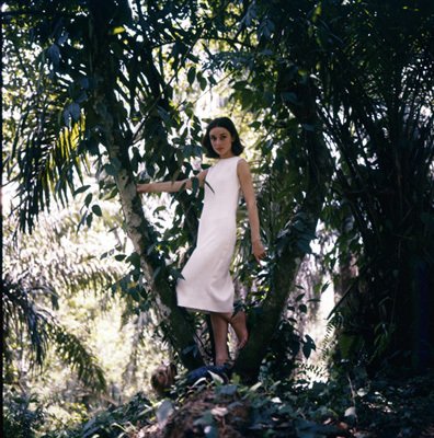 Фото - Одри Хепберн: 396x400 / 61 Кб