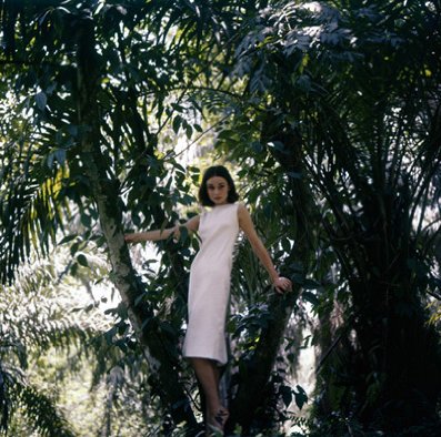 Фото - Одри Хепберн: 397x394 / 59 Кб