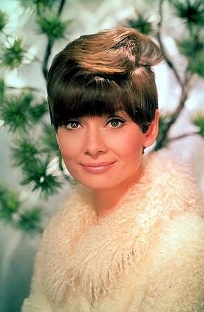 Фото - Одри Хепберн: 295x450 / 31 Кб