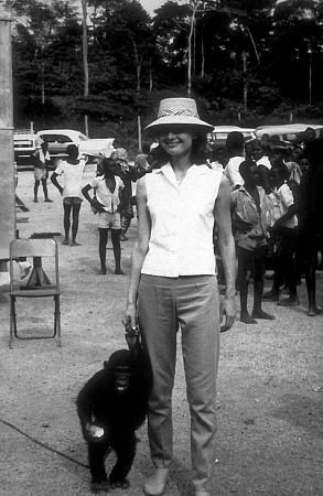 Фото - Одри Хепберн: 293x450 / 37 Кб