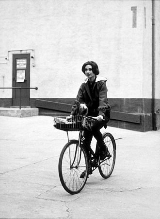 Фото - Одри Хепберн: 330x450 / 29 Кб