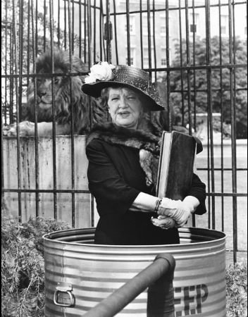 Фото - Мэрион Лорн: 352x450 / 47 Кб