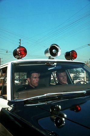 Фото - Кент МакКорд: 298x450 / 25 Кб