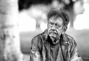 Фото - Дон Кифер: 308x211 / 15 Кб