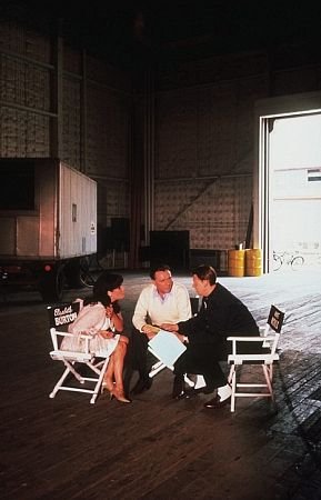 Фото - Майк Николс: 289x450 / 26 Кб