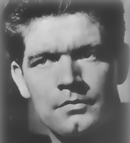 Фото - Стивен Бойд: 444x487 / 19 Кб