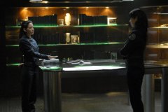 Фото - Мишель Форбс: 240x160 / 9 Кб