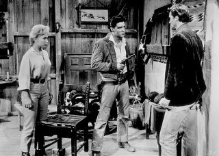 Фото - Барбара Иден: 320x228 / 27 Кб