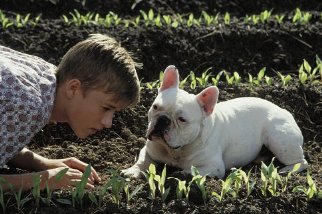 Фото - Хэйли Джоэл Осмент: 322x214 / 28 Кб