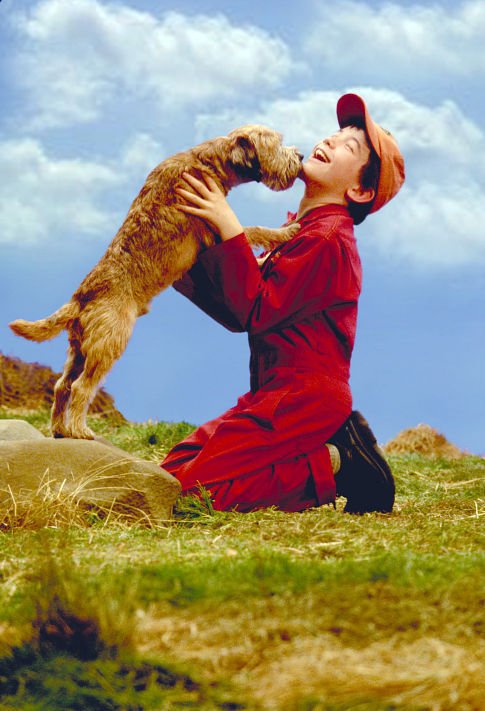 Фото - Лиам Эйкен: 485x711 / 68 Кб