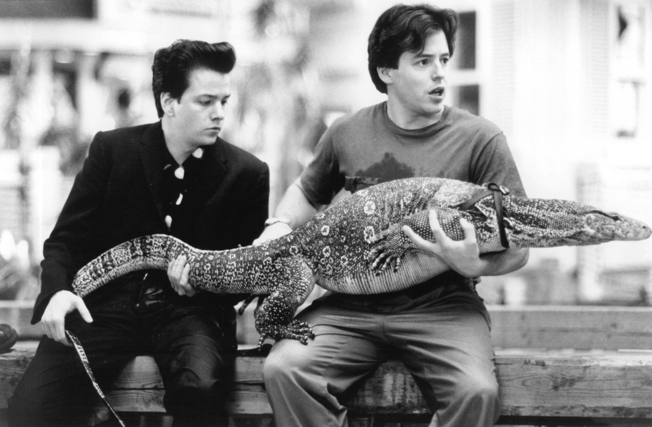 Фото - Мэттью Бродерик: 1342x879 / 180 Кб