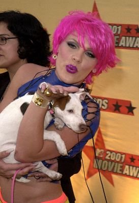 Фото - Дуэйн Джонсон: 273x400 / 25 Кб