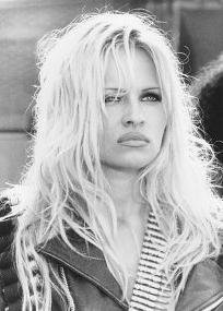 Фото - Памела Андерсон: 204x285 / 18 Кб