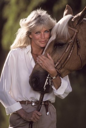 Фото - Линда Эванс: 282x420 / 24 Кб