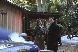 Фото - Мелина Канакаридис: 333x222 / 24 Кб