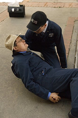 Фото - Дэвид МакКаллум: 332x500 / 39 Кб