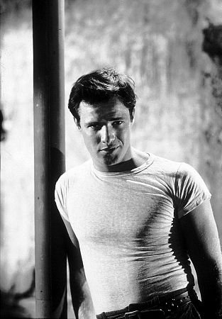 Фото - Марлон Брандо: 313x450 / 31 Кб
