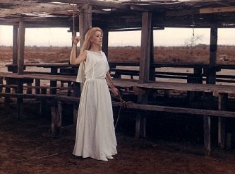 Фото - Катрин Денев: 333x246 / 21 Кб