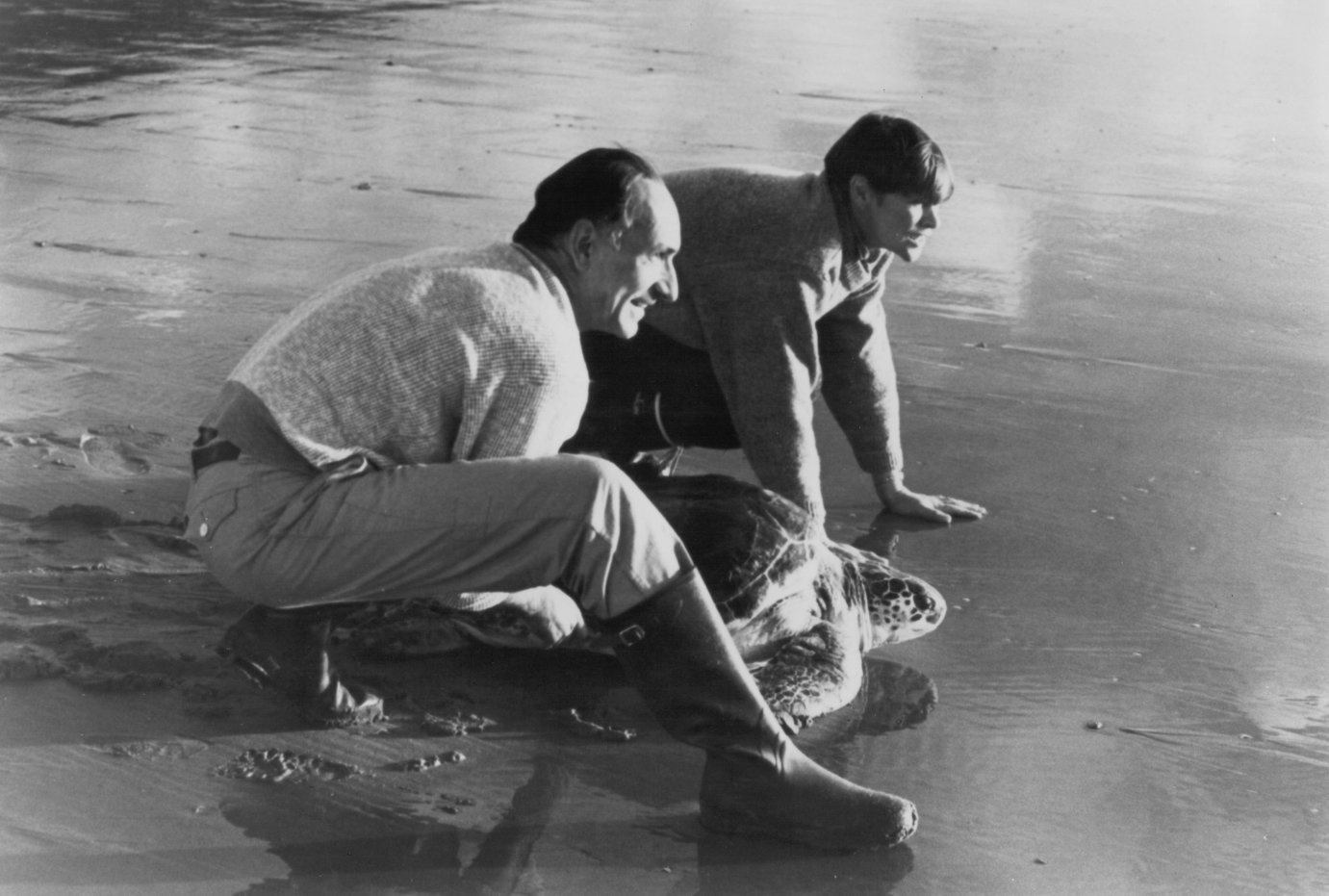 Фото - Гленда Джексон: 1381x931 / 163 Кб