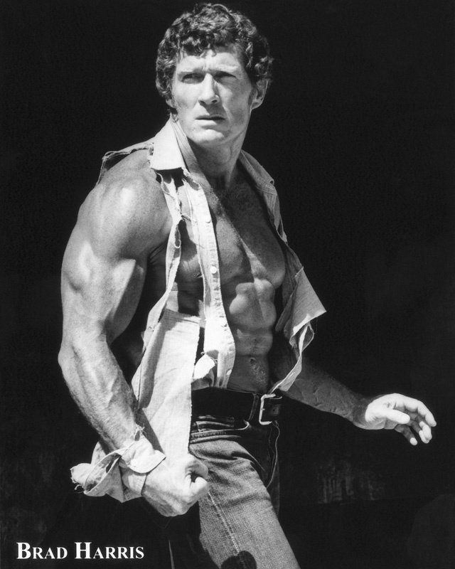 Фото - Брэд Харрис: 640x800 / 78 Кб