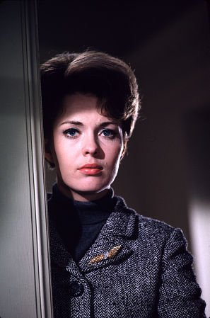 Фото - Джин Сиберг: 297x449 / 27 Кб