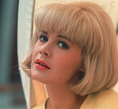 Фото - Сандра Ди: 414x381 / 26 Кб