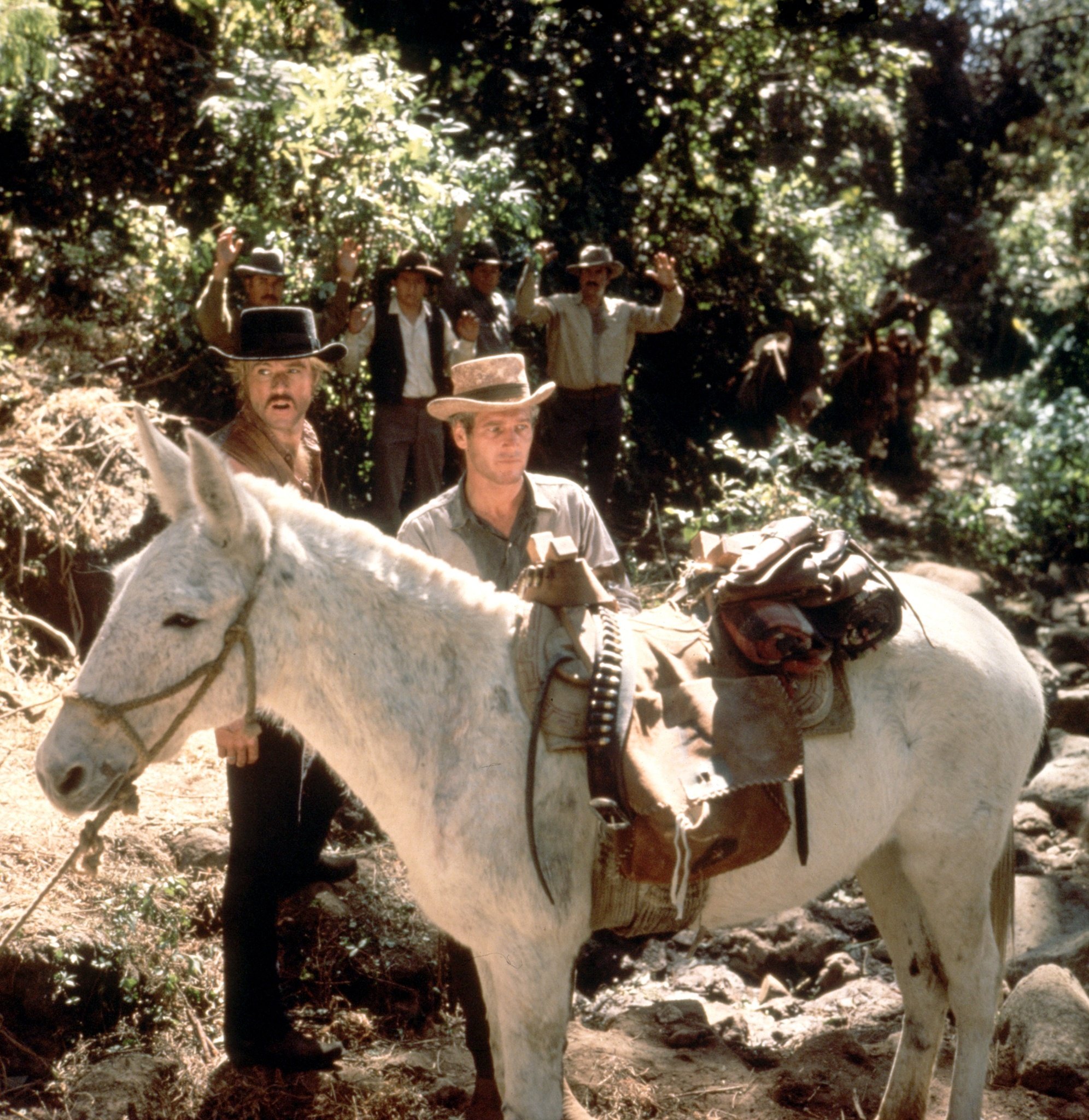 Фото - Роберт Редфорд: 1992x2048 / 737 Кб