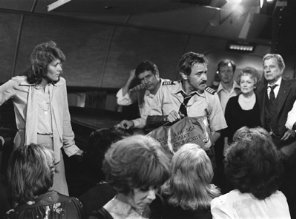 Фото - Бренда Ваккаро: 296x219 / 17 Кб