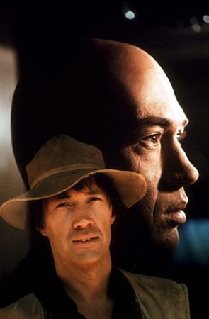 Фото - Дэвид Кэрредин: 295x450 / 17 Кб