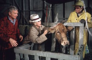 Фото - Том Лестер: 297x196 / 17 Кб