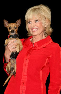 Фото - Бритт Экланд: 260x400 / 21 Кб