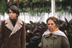 Фото - Бад Корт: 281x188 / 16 Кб