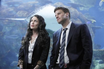 Фото - Рена Софер: 435x290 / 25 Кб