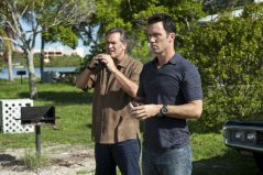 Фото - Джеффри Донован: 239x159 / 15 Кб