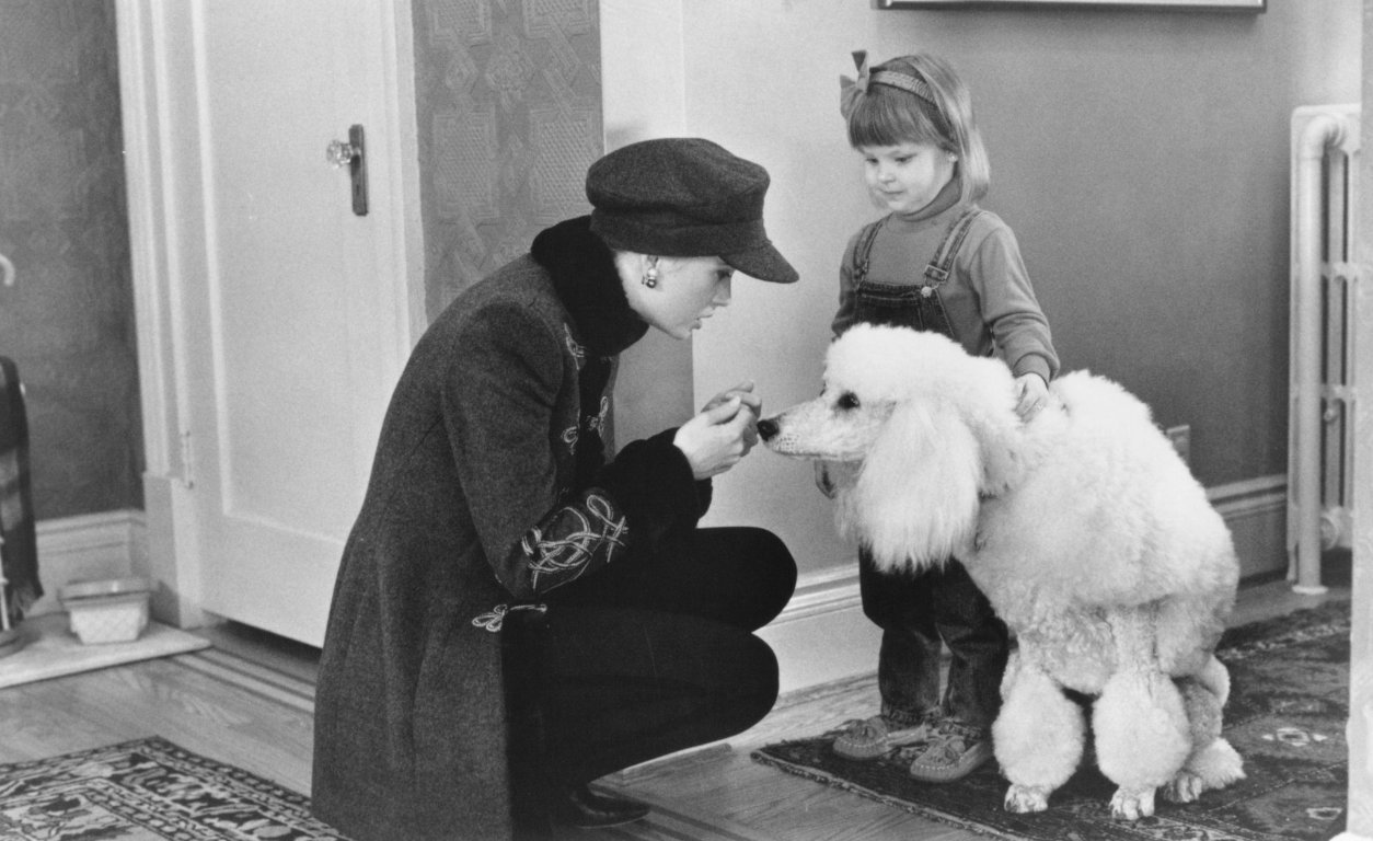 Фото - Лизетт Энтони: 1254x768 / 146 Кб