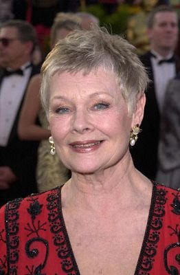 Фото - Джуди Денч: 262x400 / 23 Кб