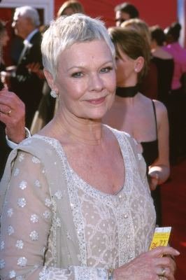 Фото - Джуди Денч: 266x400 / 23 Кб