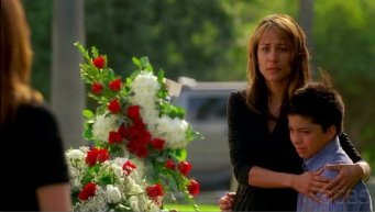 Фото - Мишель Бонилья: 341x193 / 16 Кб